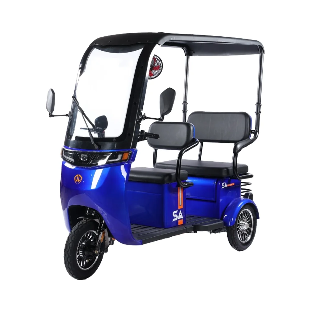 2025 CE New Tricycle Electric Bike Moto Taxi Handicap Scooter 800w 48V60V Europe