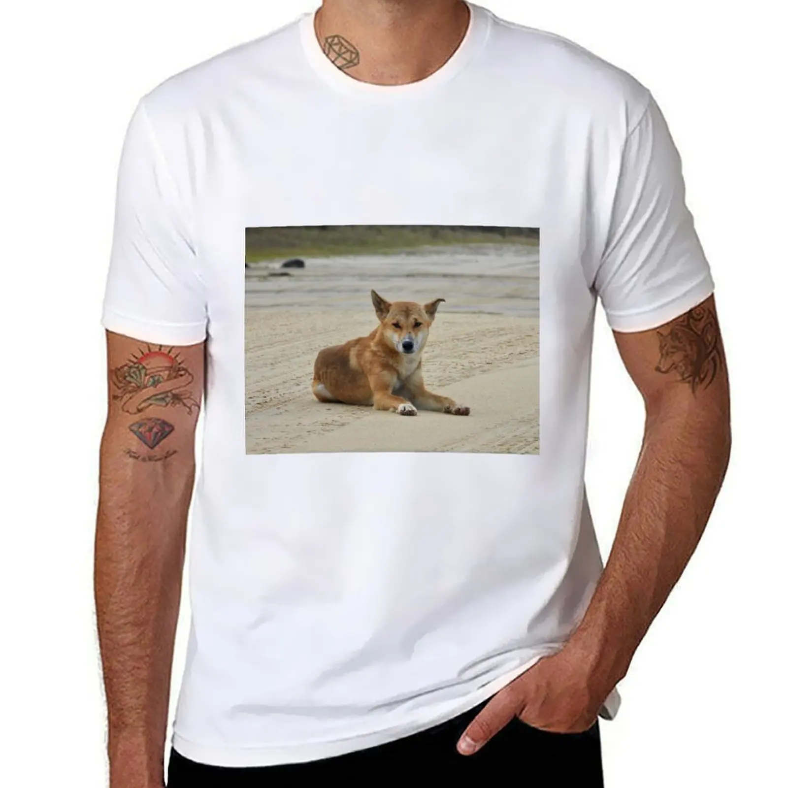 

kgari dingo (Fraser island) T-Shirt man graphic t shirt man tshirt cotton t shirt pack T-Shirt