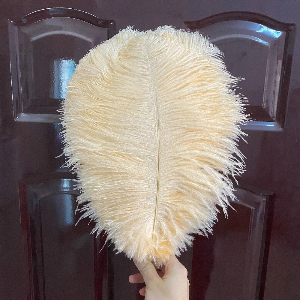 Customized 10PCS Champagne Colored Ostrich Feather Clothing Accessories Live Broadcast Feather Jewelry Ornaments Stage Props