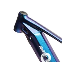 Full Suspension E-MTB 1000W Electric Bike Frame mid Drive 27.5/29 Inch Compatible with Bafang M620 Motor