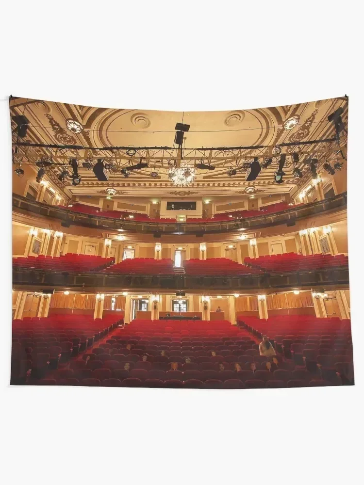 DePaul University Merle Reskin Theatre Tapestry House Decorations Decorations For Room Aesthetic Room Decors Tapestry