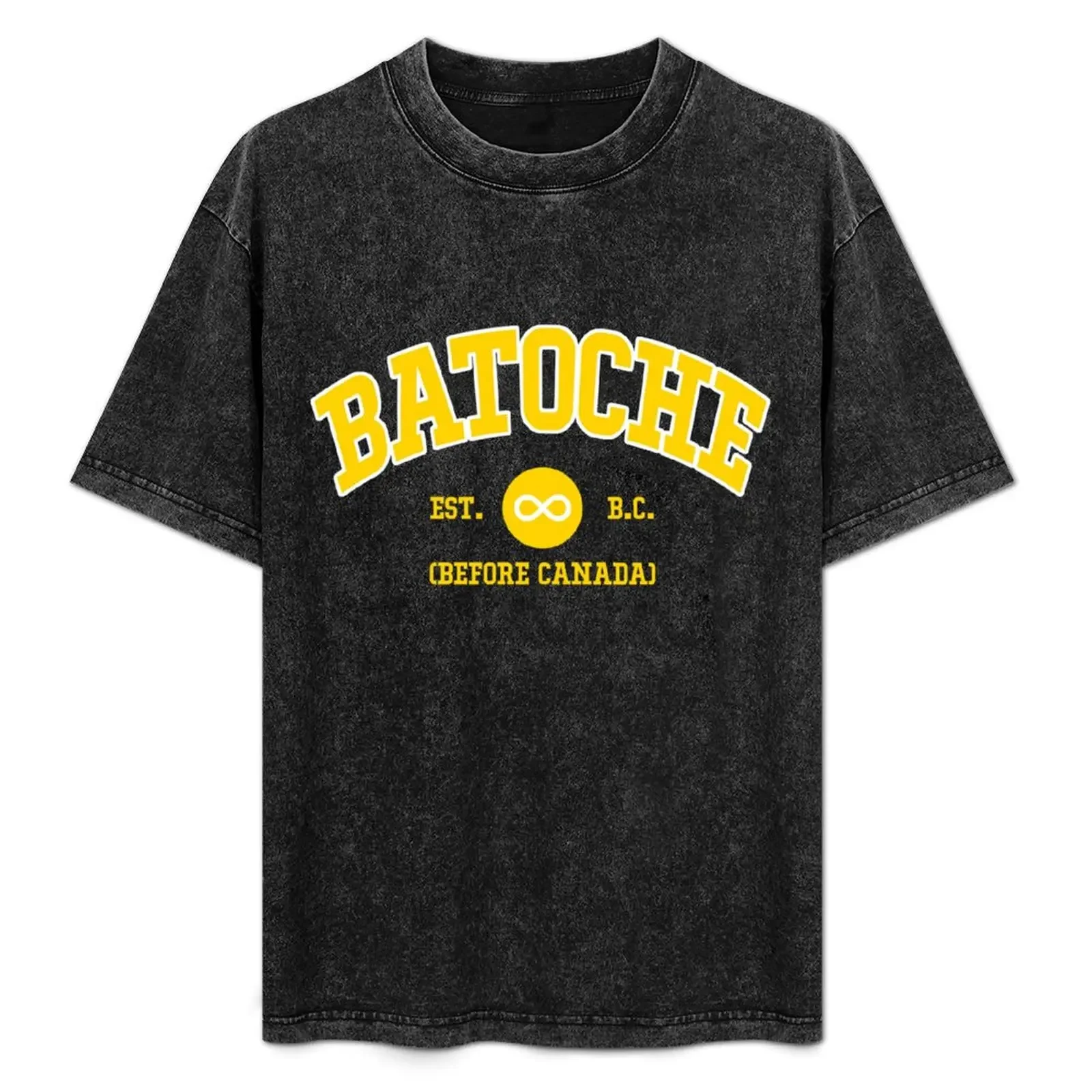 

Batoche Pride Metis Varsity Lettering T-Shirt croswit shirt man summer top fashion shirts workout shirts for men
