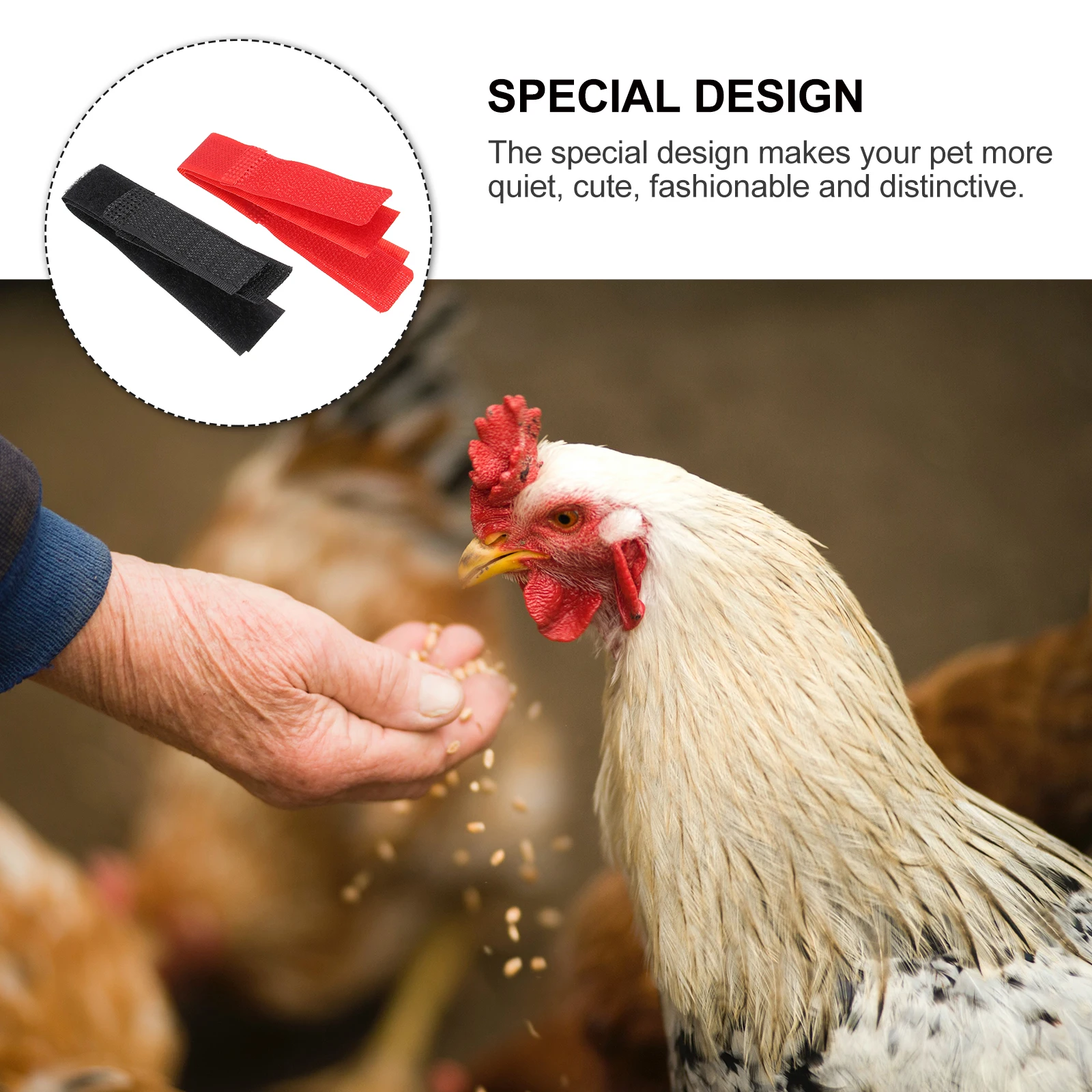 

8 Pcs Anti-snag Collar Rooster Accessory Neck Hook Anti-hook Collars