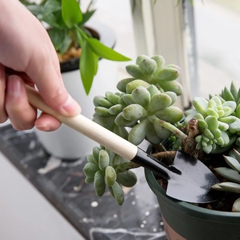 

Многофункциональный мини-набор садовых инструментов с деревянной ручкой: прочные ручные инструменты для садоводства, лопаты для копания почвы, лопатка-секатор