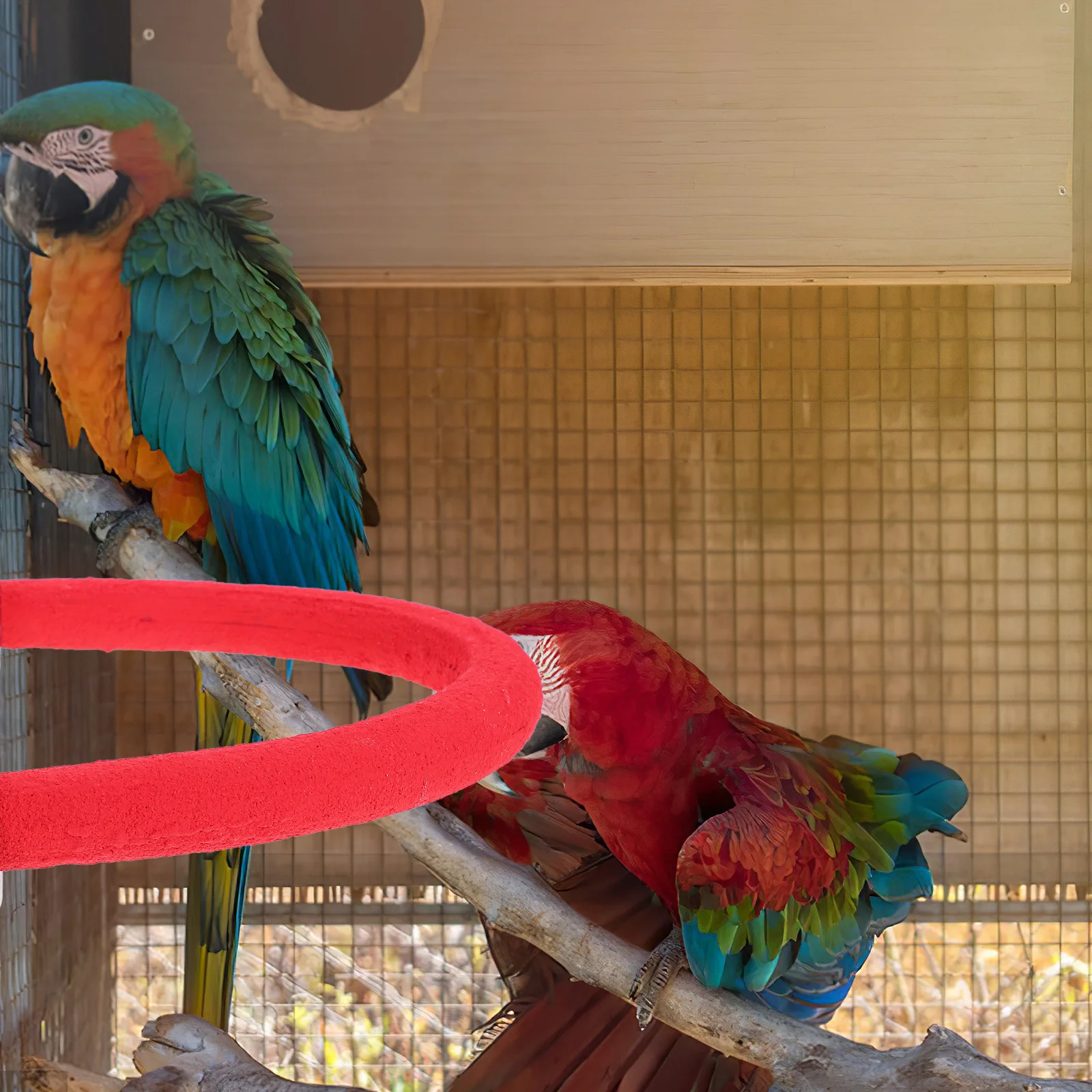 

Grind Stick U Shaped Bird For Parrot Red Pet Training Climbing Play Activity Rod Small Birds Parrot Stand Ladder Bird