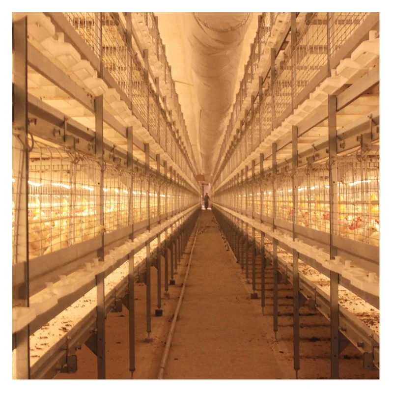 

Factory supply price of broiler chicken poultry farm shed design cages broiler chicken