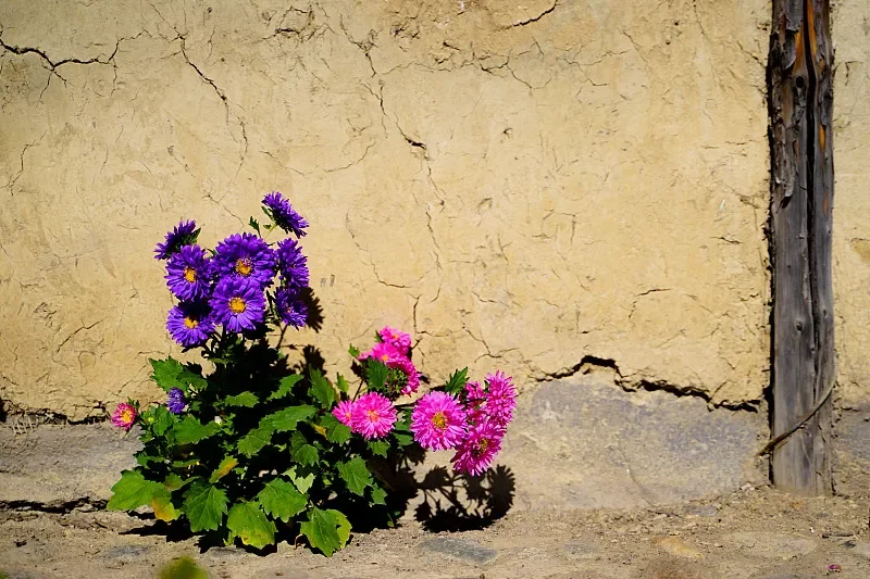 

DumboRC X4 2.4G 4-канальный комплект дистанционного управления — приемники P6F/P6DC, дальность действия 500 м, характеристики 3 мс, фонарь постоянного тока для радиоуправляемого автомобиля MN-90, лодки, танка