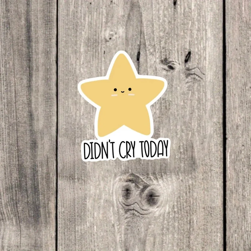 

No Crying Today Stickers，Reusable Vinyl Positive Energy Stickers，Suitable for water bottles、Diary、Laptop
