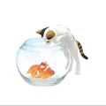 calico cat goldfish