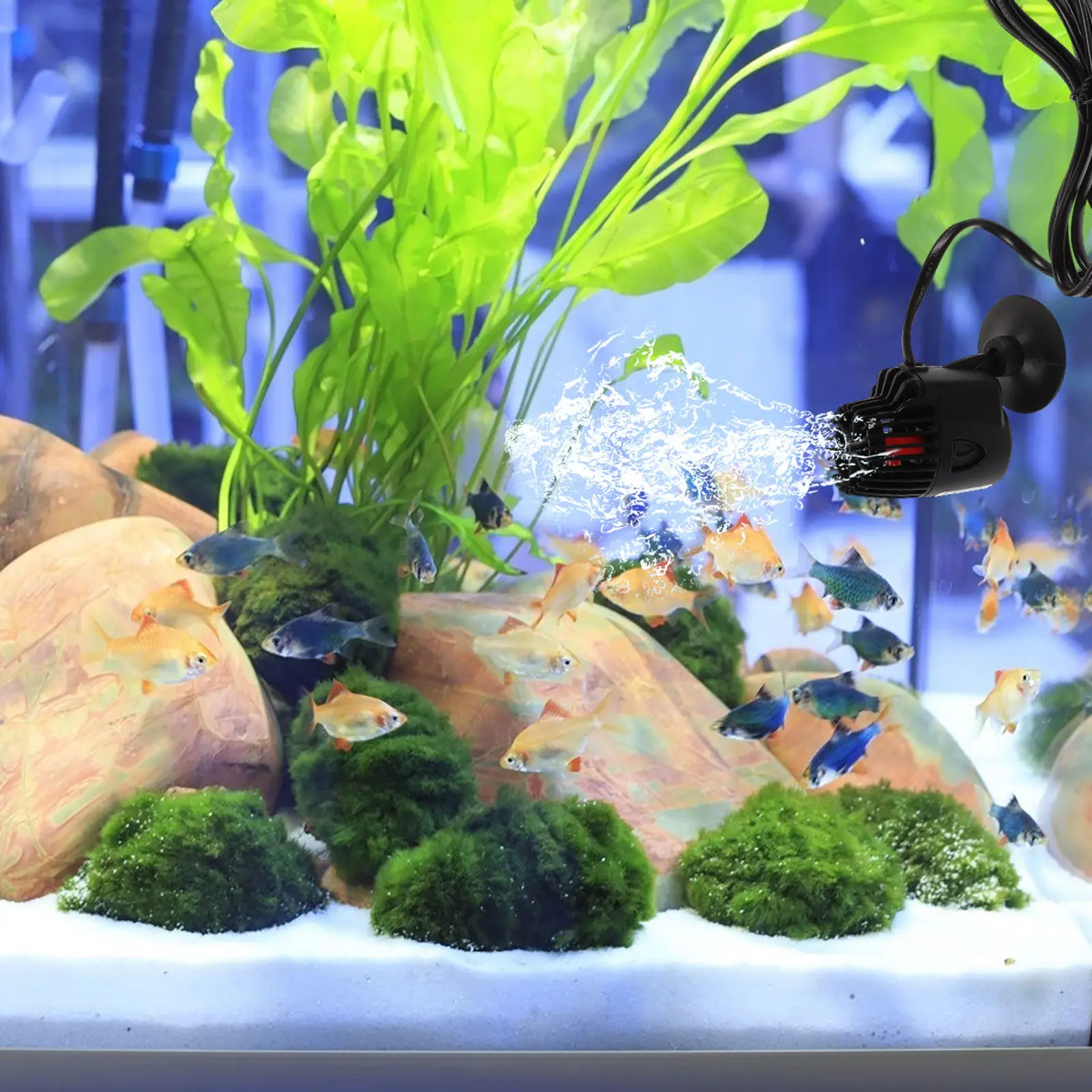 

Насос для очистки аквариума, черный, с американской вилкой, генератор волн, для циркуляции воды в аквариуме, бесшумный, с регулируемым вращением, на присоске