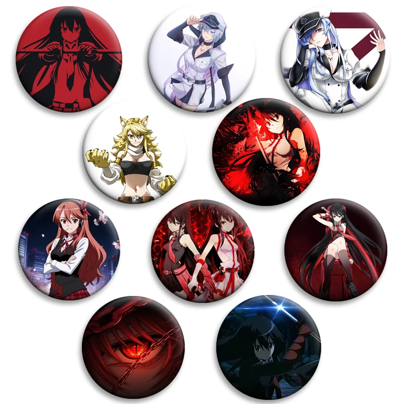 Akame Ga Kill Badge Akame Esdeath Brooches Anime Action Collectible Pin on Backpack Clothing Decor Fans Cosplay Accessory Gifts