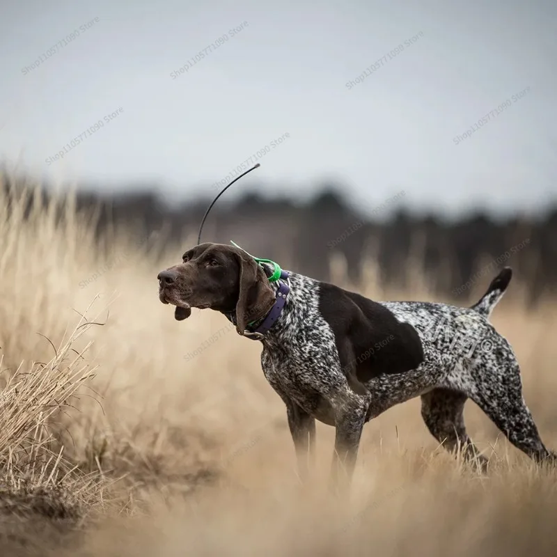 For X20 Hound Radio Locator, Dashan No Signal Hound GPS Collar Equipment X22 Beidou Satellite
