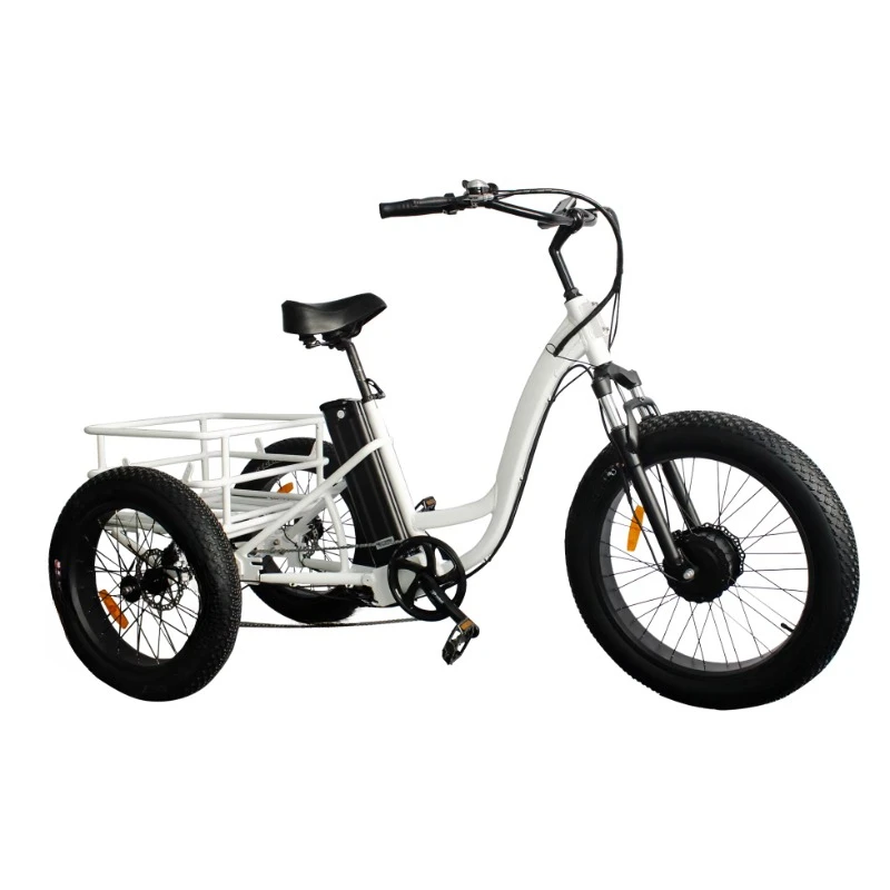 Hybrid Electric Bike Electric Tricycles Electric City Cargo Bike Three Wheeled E Bike for Adults