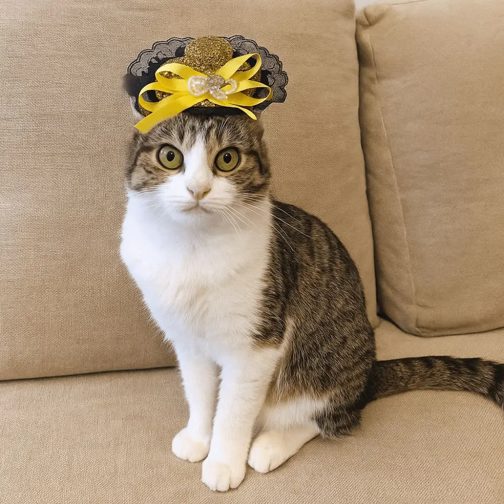 

Pet Accessories Adjustable Pet Halloween Hat Sequin British Style Cat Lace Hat Elastic Band Cat Cosplay Hat Photo Prop