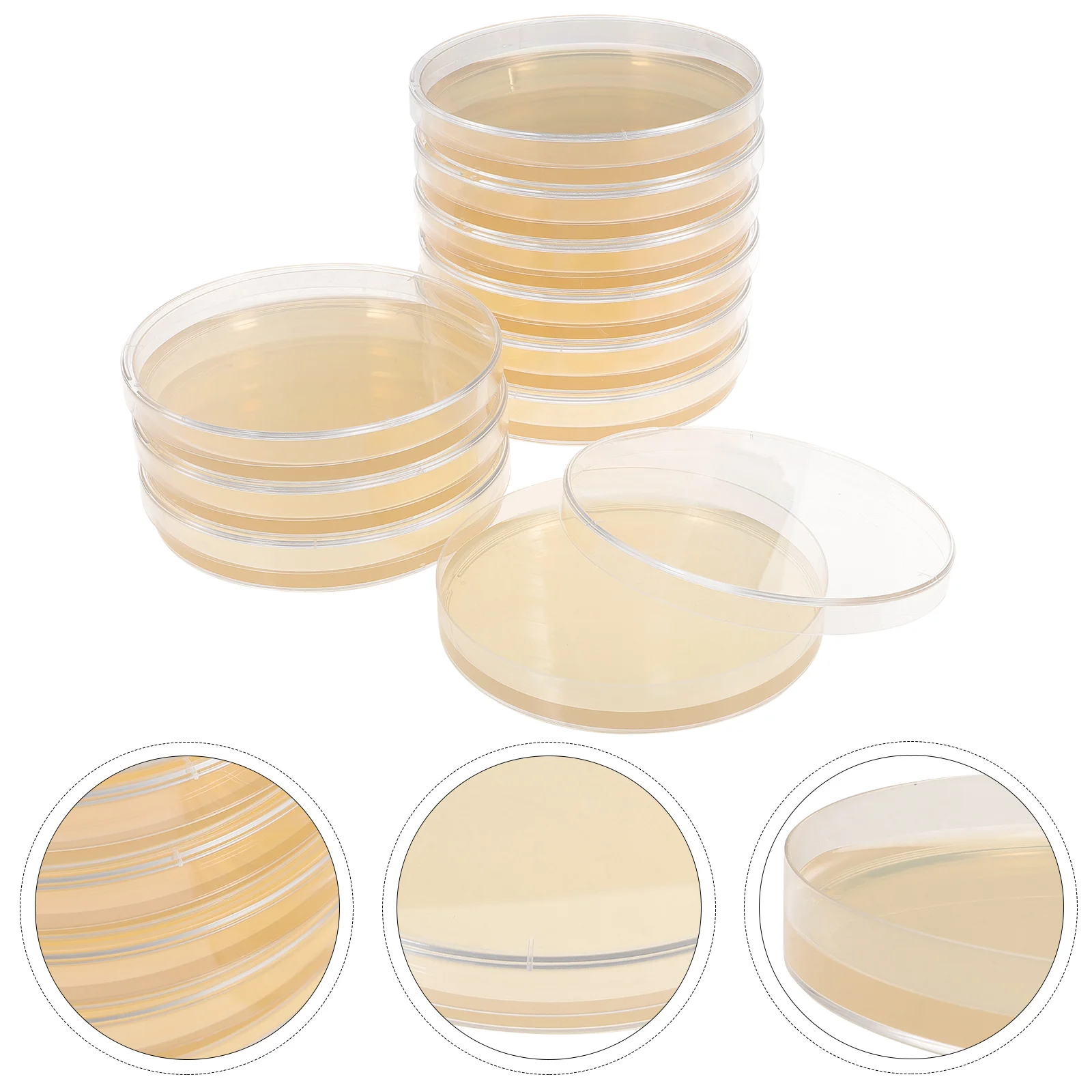 10 Pcs Nutrient Agar Plate Prepoured Petri Dish Experimental Supplies Plates Portable