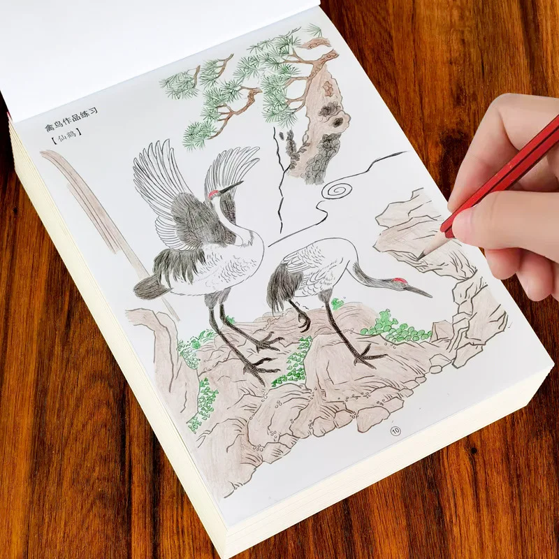 Basic Knowledge of Children's Chinese White Drawing, Copy Album, Coloring Book of Characters, Animals, Plants, Landscapes
