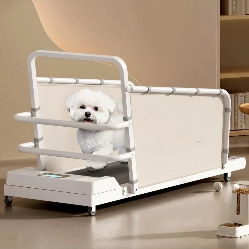 Accessories dog treadmill dog cat running, small and medium dog walking machine cloth