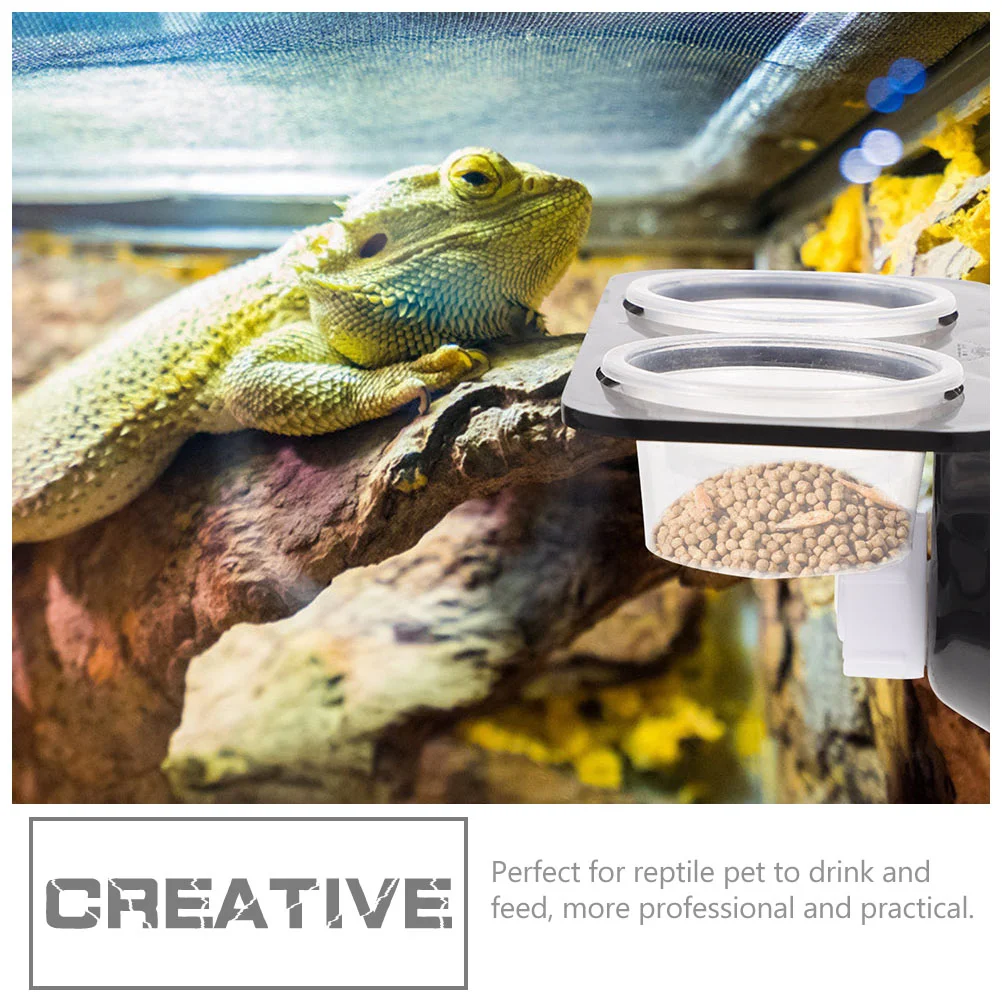 Reptile Bowl Water Feeder Food Feeding Gecko Dish Lizard Ledge Cup Basin Turtle Container Supplies Stable Feeders Worm Tank