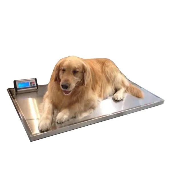 

YSVET-TZC150 Best Price Pet Weighing Scale for Large Animals Digital Dog Vet Weight Balance