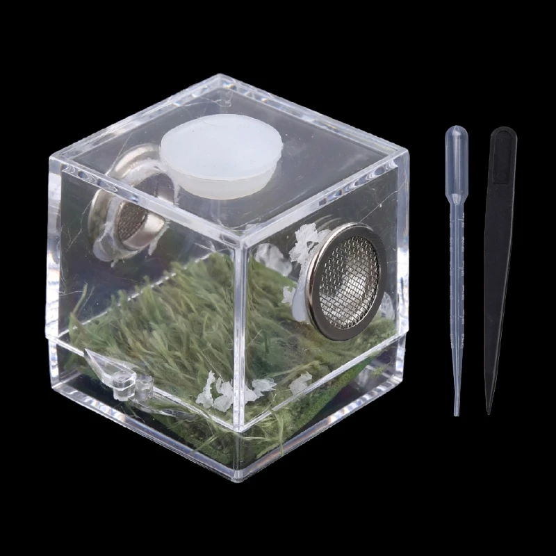 Jumping Spider Habitat Acrylic Feeding Cage for Nano Terrarium with Arboreal for Small Reptiles Clear with 360 Degree Vi