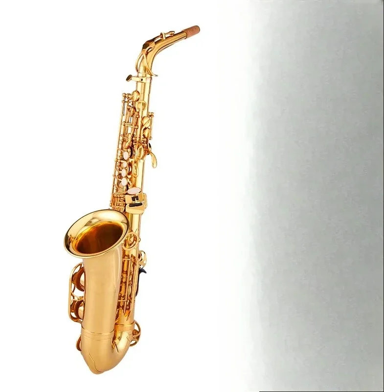 Starway Custom High Quality Alto Saxophone E Flat Brass Body Wind Musical Instruments for Professional Band
