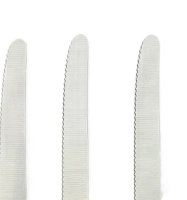 6 Stainless Steel Serrated Steak knife Round Tip Fruit And Vegetable Paring Knife Kitchen Baking Toast Serrated Bread Knives