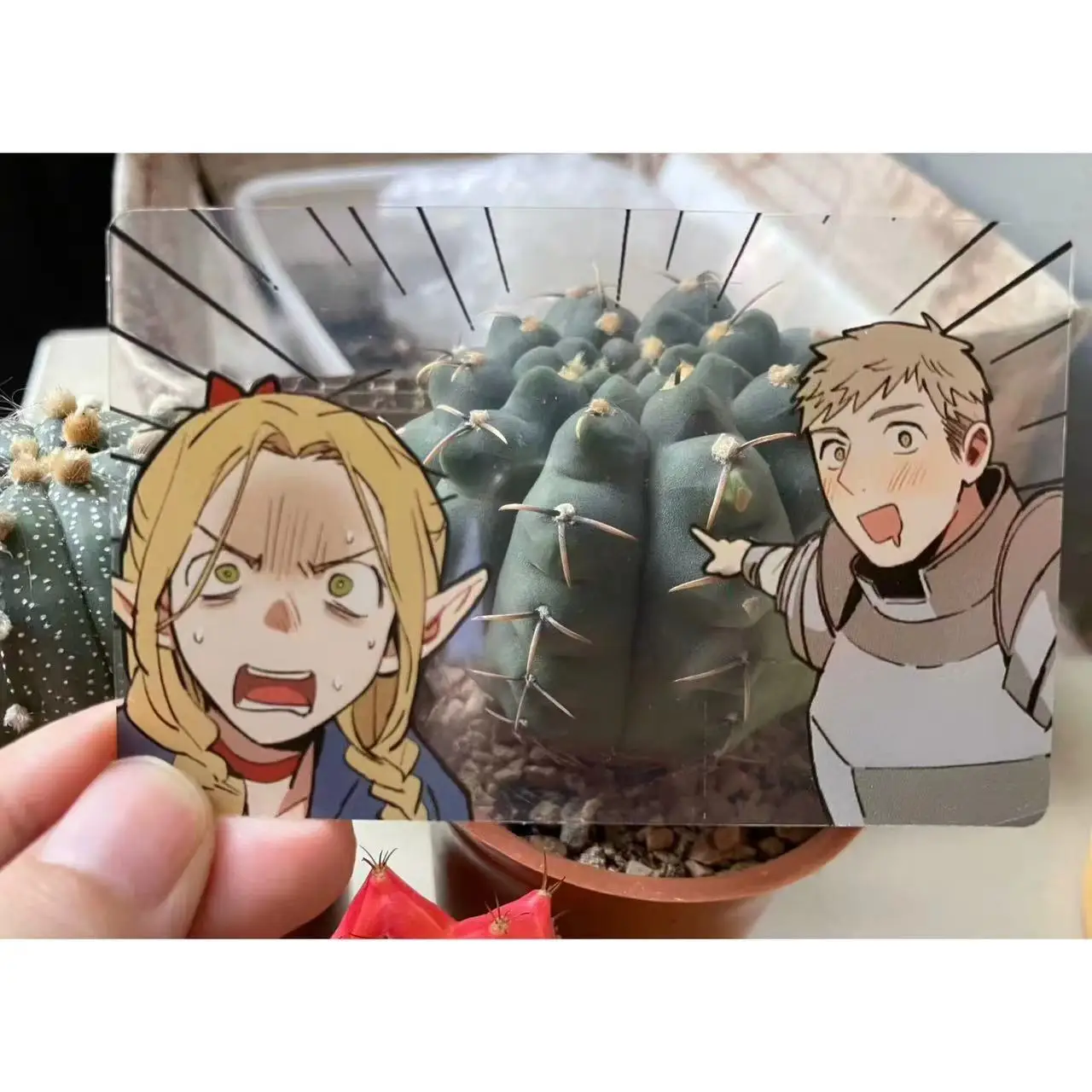 Dungeon Meshi Acrylic Card Delicious in Dungeon Transparent Cards Laius Marsilla Group Photo Card Collection Shooting Prop Gift