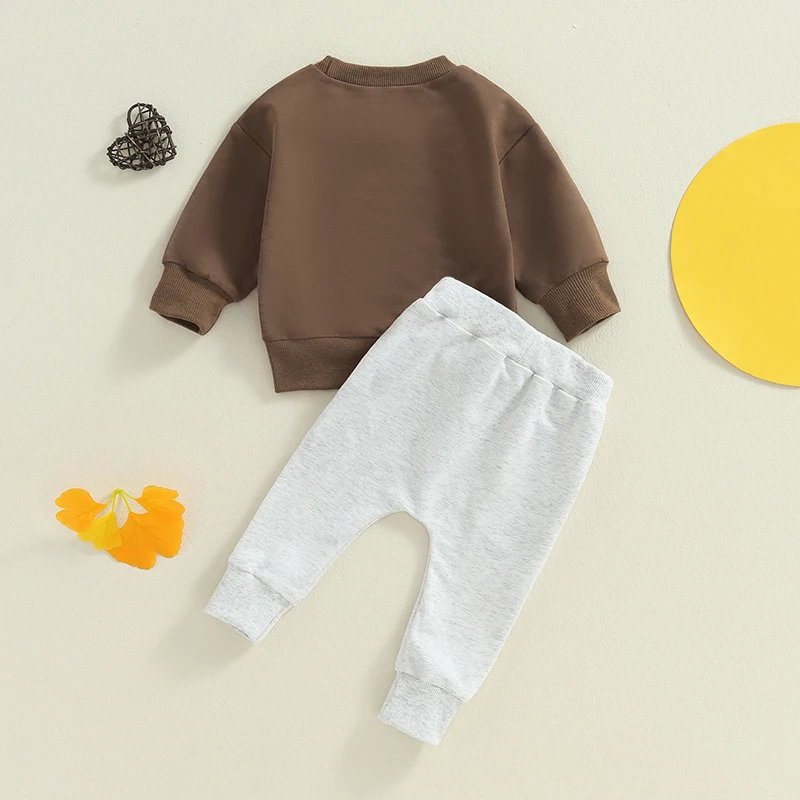 Baby Clothing Boys Letter Embroidery Long Sleeve Casual Pullover Sweatshirt+Pants Sets  2pcs Outfits Kids Clothes