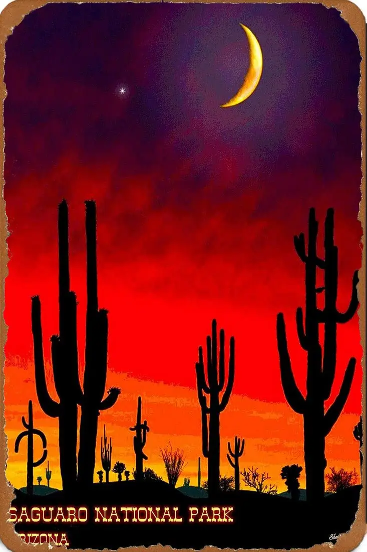 Muroanmi Retro Metal Poster Vintage Tin Sign Metal Plate Saguaro National Park Southern Arizona U.S. Travel Advertisement Print 