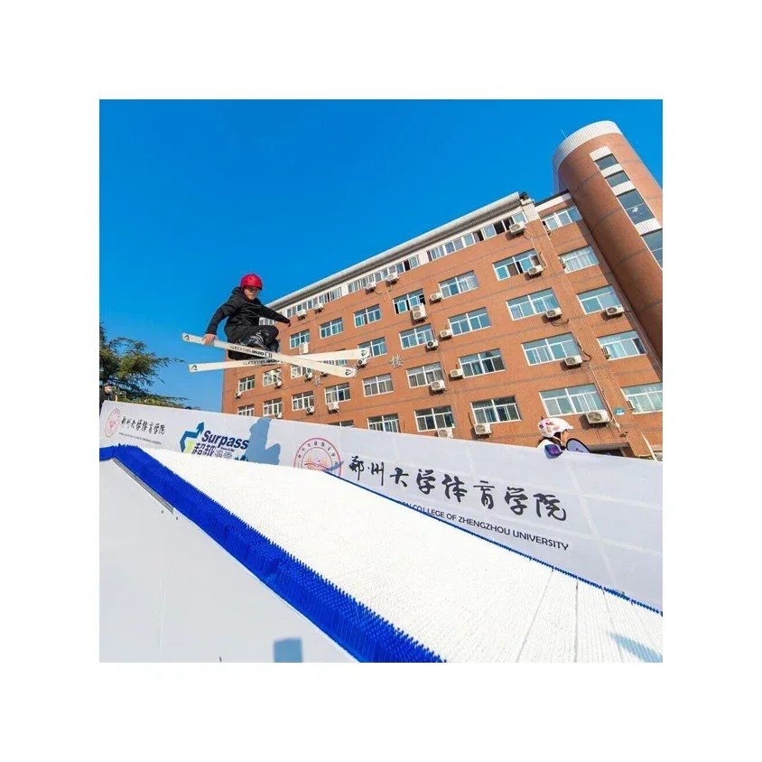 The Wish of Skiing in Four Seasons Has Finally Come True Winter Snow and Summer Training Dry Ski