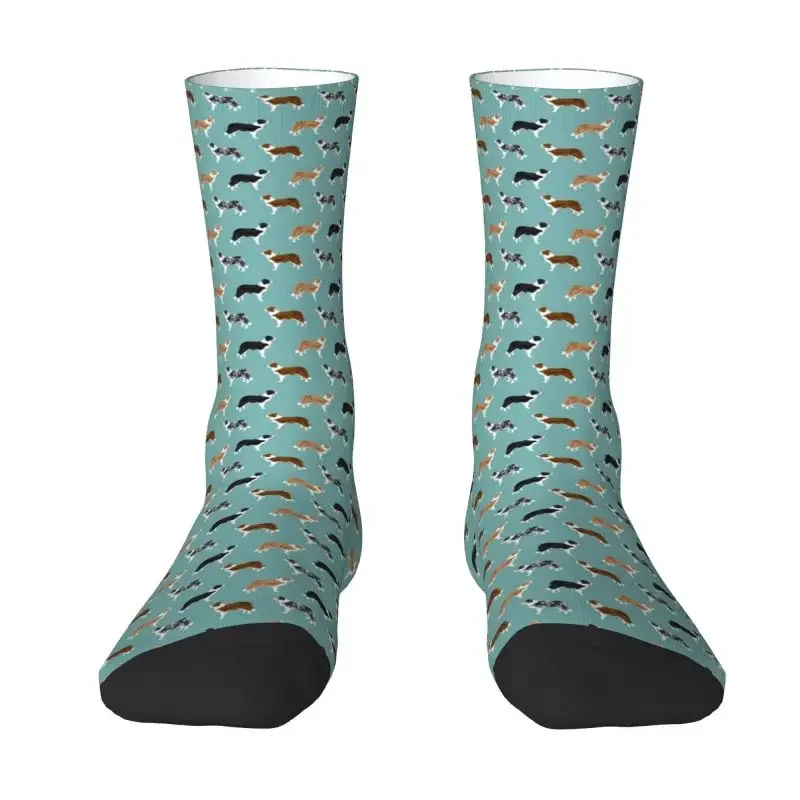 Cute Dog Border Collie Men Women Crew Socks Unisex Fashion Puppy Pet Spring Summer Autumn Winter Dress Socks