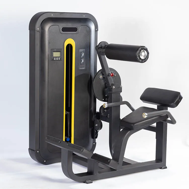 China Factory Gym Equipment ASJ-ZM007 Professional Gym Fitness Equipment Pin Loaded Strength Training Back Extension