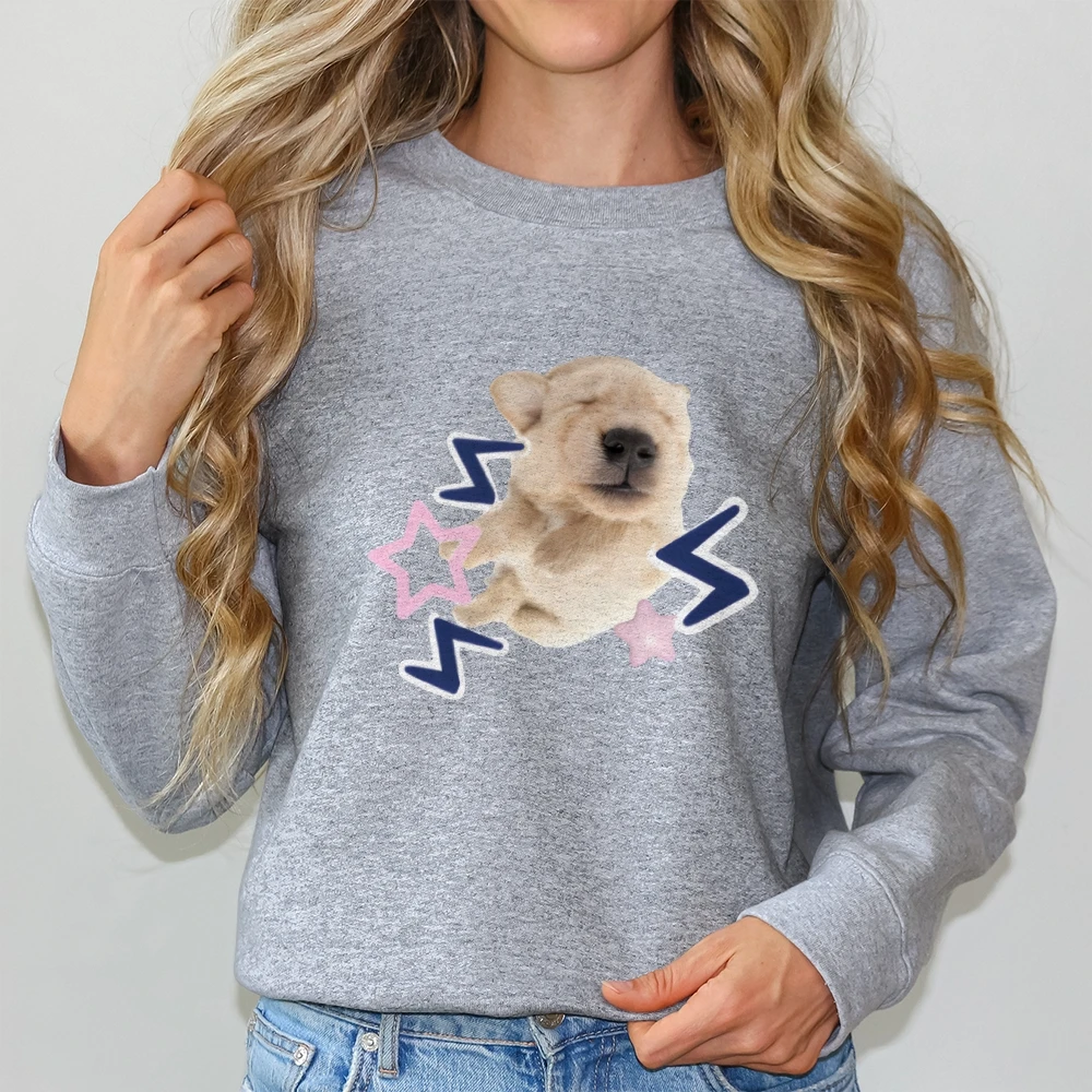 Puppy Fast Sleep Lässiges Sweatshirt mit Rundhalsausschnitt Y2K Damenbekleidung aus gebürstetem Fleece, kurzer Pullover, passendes Minirock-Set