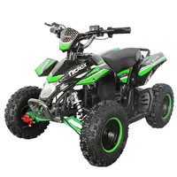 ATV 49cc Air Cooled 2-strokes Quad Bike All-terrain Vehicle with Single Cylinder Chain Drive 4 Wheeler Off Road Buggy for Kids