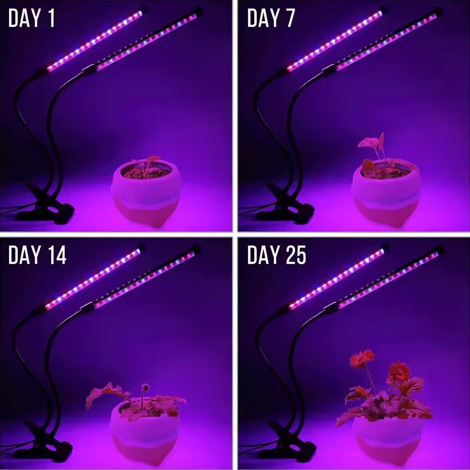 USB LED Plant Grow Light Indoor Garden 10 Dimmable Levels Grow Light Full Spectrum Timer Setting Hydroponic Greenhouse 3H/9H/12H