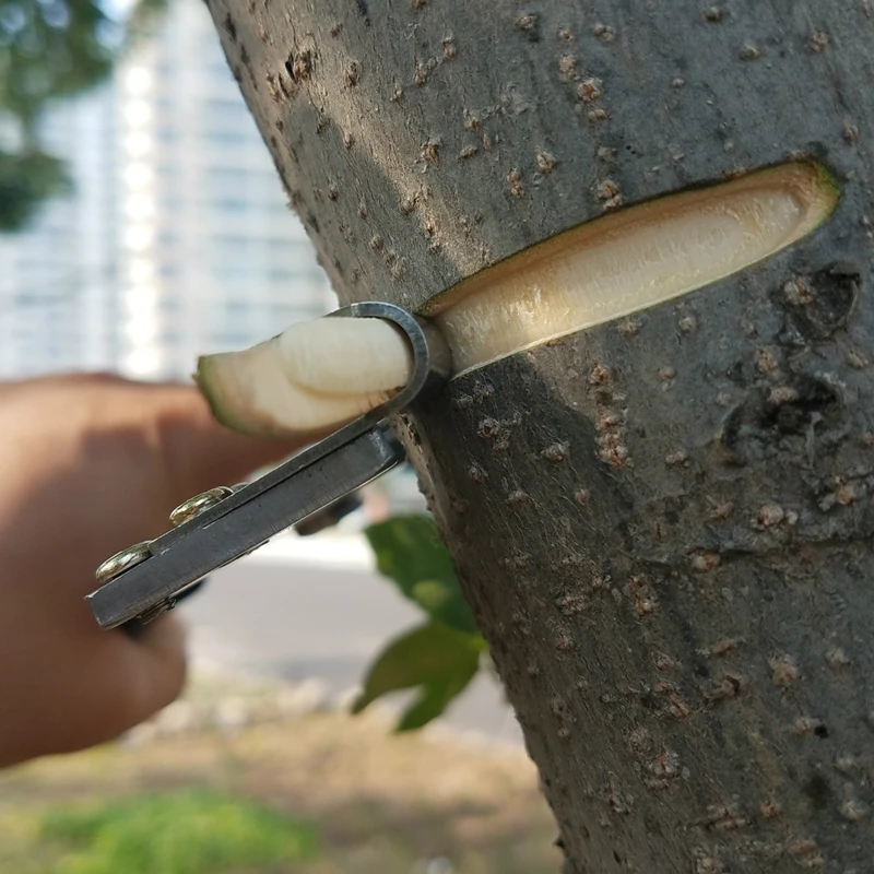 Imagem -03 - Árvore Ramos Anel Barking Scissor Sharp Stripping Peeling Knife Poda Jardim Ferramentas Manuais Tesoura Scissor