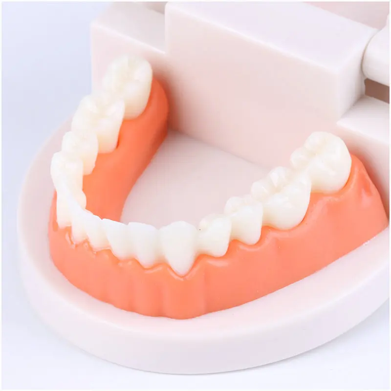 Montessori Educational Toys For Children Early Learning Kids Intelligence Brushing Tooth Teaching Aids Simulated Practical LifeT