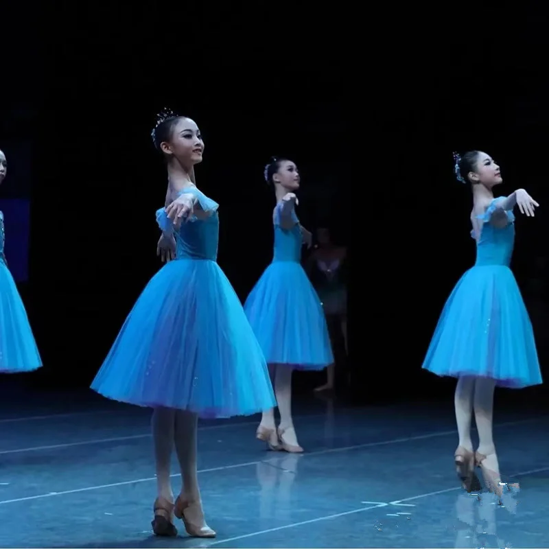 Long Romantic Ballet Tutu Blue Ballet Dress Performance Clothes Swan Lake Ballerine Femme Children Girls Fairy Ballet Costume