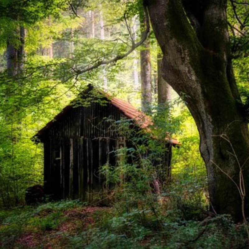 

Металлическое шасси, защитная пластина оси для 1/10 RC гусеничного осевого SCX10 II 90046 90047 90059 90060, обновленные детали