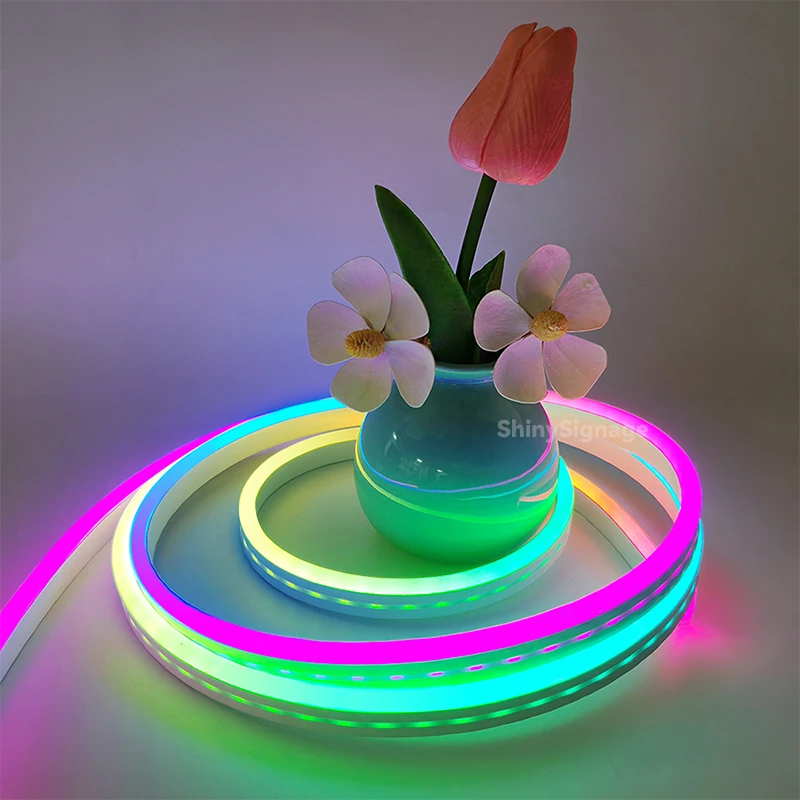 

5m LED Magic Color Pixel Silicone Neon Lights Pure Silicone Waterproof Flexible Neon Light Bendable 6x12mm No Spot USB Plug