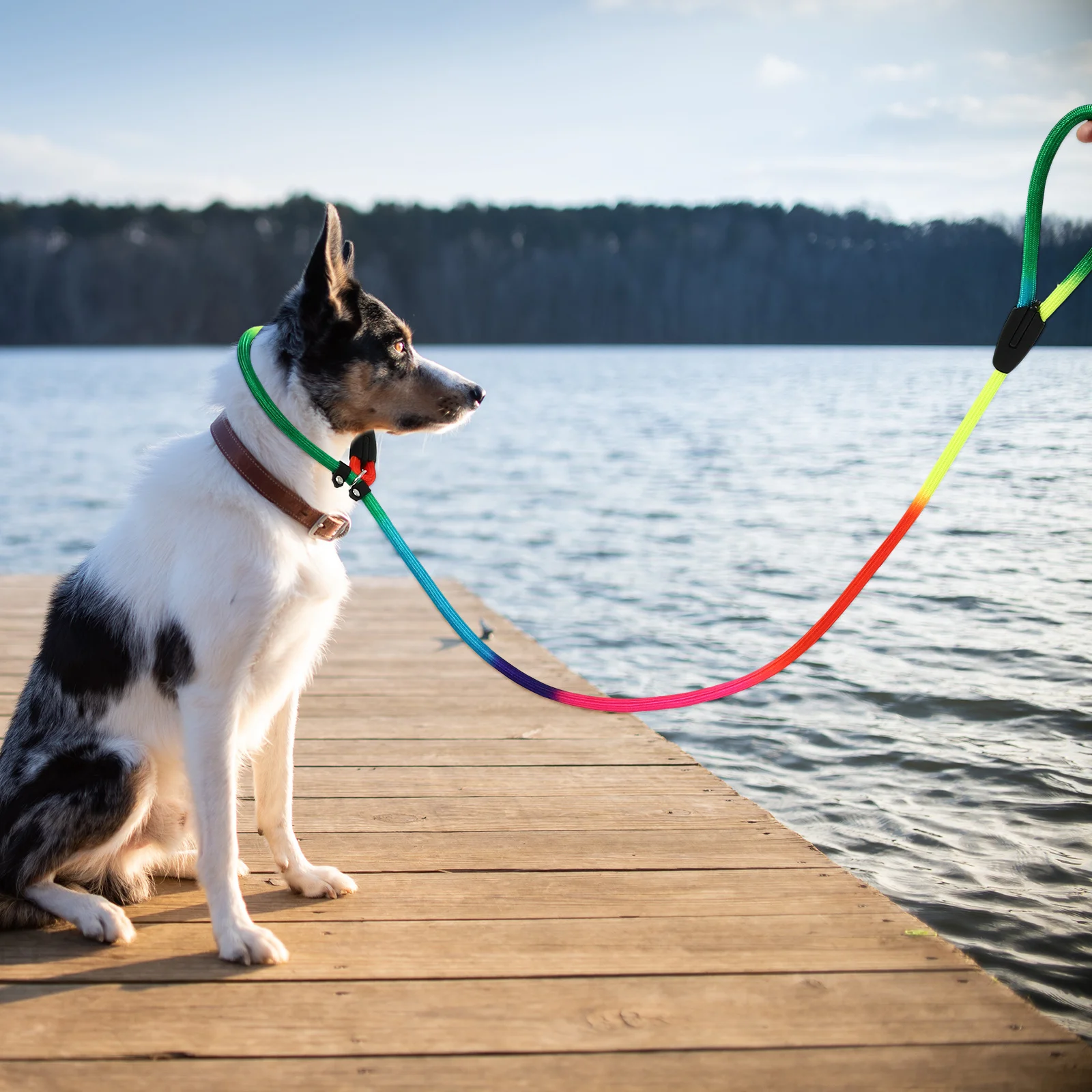 

Outdoor Dog Leash Nylon Adjustable Walking Strap Portable Pet Pulling Rope for Puppy Traction Supply Portable Dog Leash