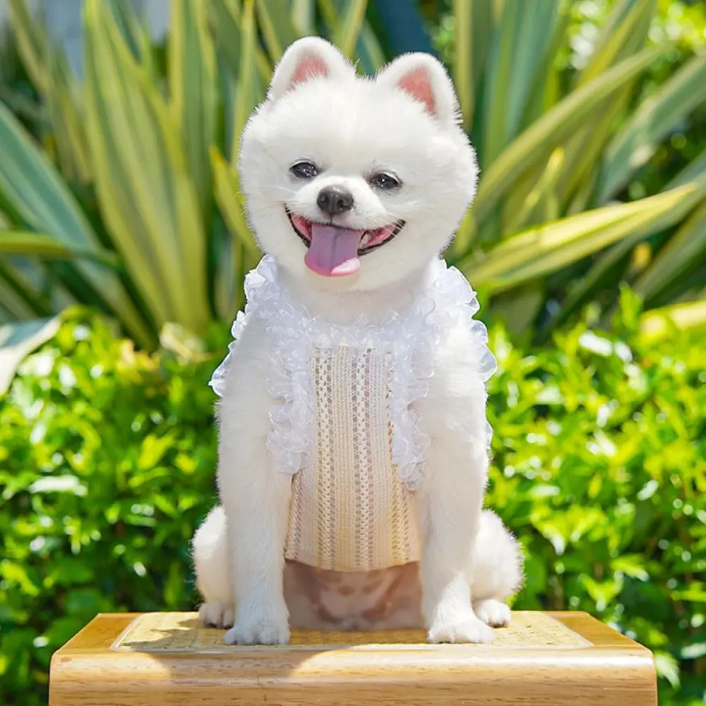 

Pet Supplies Elegant Pet Vest Shirt Hollow Cute Cat Dress Lace Bowknot Thin Design Dog Summer Clothes Spring