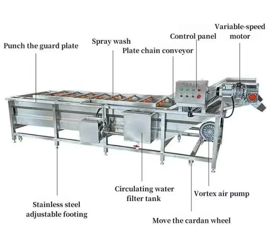 Food Grade Washing Line High Efficiency for Spinach Lettuce Cabbage Leafy Greens Fruit Vegetable Cleaner Custom