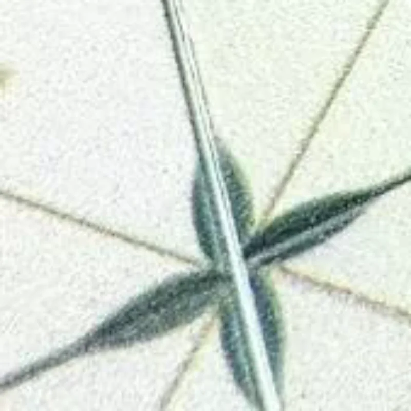 

1:12 Кукольный домик, миниатюрная деревянная бочка, щетка для стирки, набор из трех предметов, сцена для стирки, микропейзажные украшения, игрушки для ролевых игр