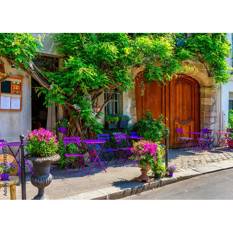 Vintage Châu Âu Phố Xem Phong Cảnh Chụp Ảnh Phông Nền Đạo Cụ CướI Chân Dung Ảnh Nền Studio 211229 JJD-03