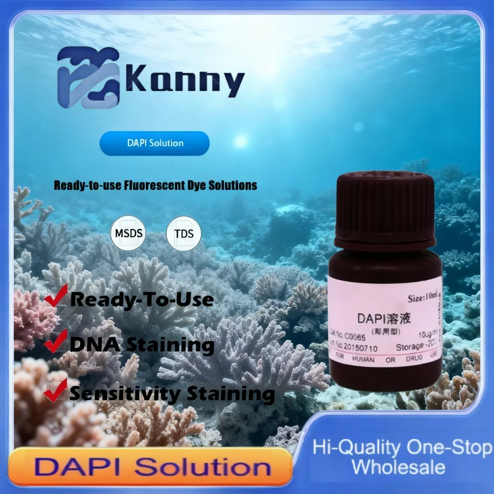 DAPI Solution Ready-to-Use for DNA Staining in Fluorescence Microscopy Original Product
