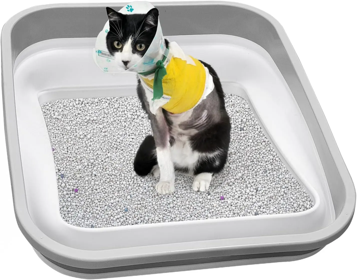 

Senior Cat Litter Box, Three Legged Arthritic Open Low Entry for Sick Frail Handicap Disabled Cats, Older Elderly Corne