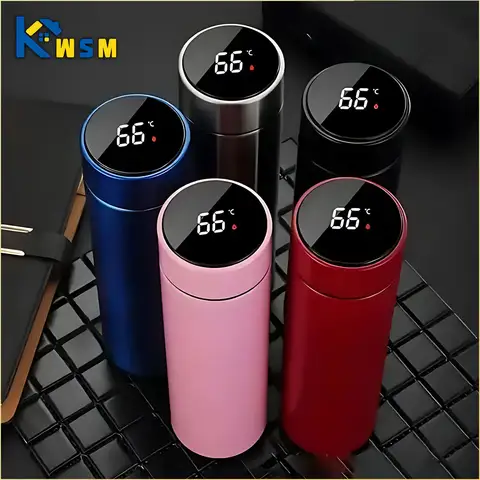 Thermos con display della temperatura da 500 ml Bottiglia thermos divisa in acciaio inossidabile Tazza termica sottovuoto per esterni Regalo per la festa del papà