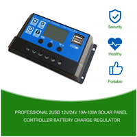 PWM 12V/24V Adaptive Solar Controller 10A 20A 30A 40A 50A 60A 70A 80A 100A Battery Charge and Discharge USB PV Plate Controllor