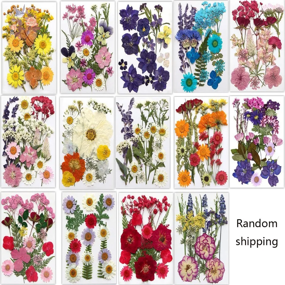 اليدوية ضغط الزهور المجففة المرجعية DIY بها بنفسك المواد زجاجات شفافة ملصقات محلية الصنع تنقش أوراق النبات الزهور الراتنج #4